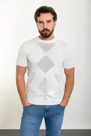 Slim Fit Erkek Fileli O Yaka Kısa Kol Tshırt 1