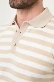 Slim Fit Polo Yaka Düğmeli Çizgili Kısa Kollu Tshırt 6
