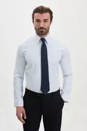 Slim Fit Erkek Geniş Yaka Çizgili Pamuklu Gömlek  2