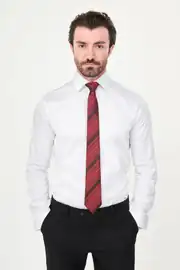 Slim Fit Erkek  Gizli Düğme Düz Uzun Kol Klasik Gömlek 1